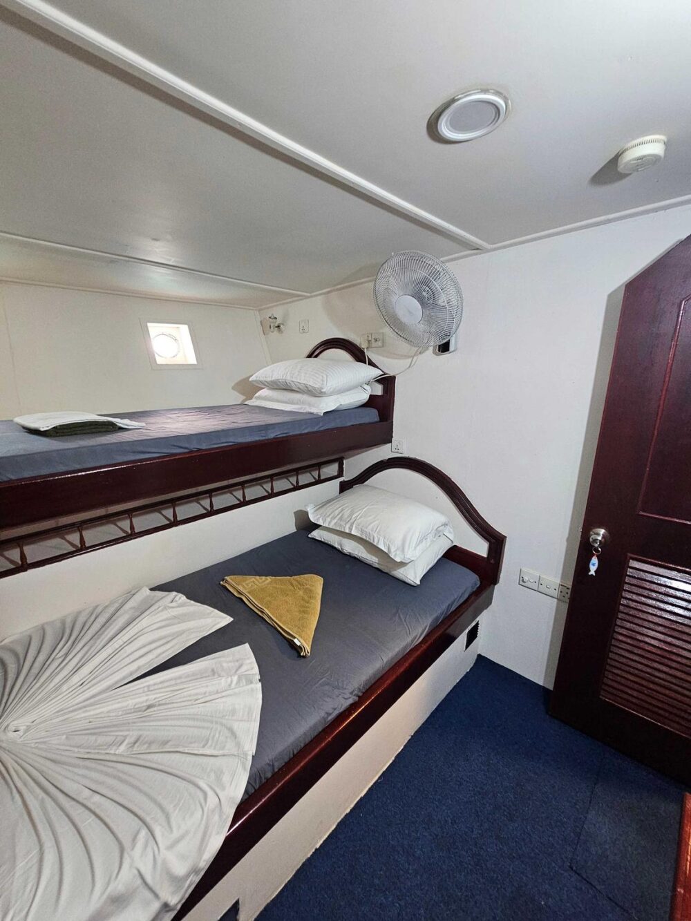 Affordable Liveraboard : Private Charters for Surfing, Diving & Custom Trips - Imagen 23
