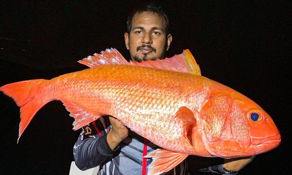Fishing Boat rental in Malé for chartered trips - Imagen 23