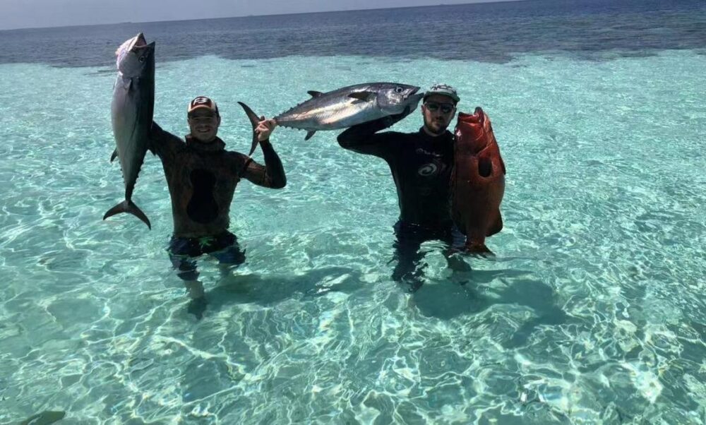 Amazing Trips in Maldives! - Imagen 8