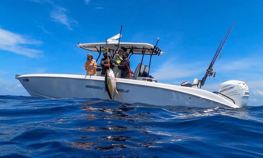 Amazing Trips in Maldives! - Imagen 7