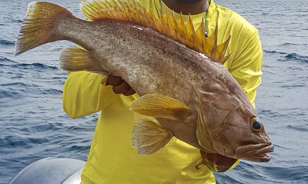 Fishing Boat rental in Malé for chartered trips - Imagen 17