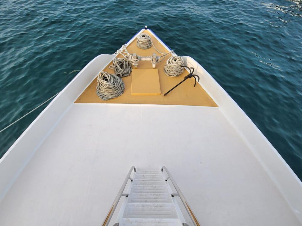 Affordable Liveraboard : Private Charters for Surfing, Diving & Custom Trips - Imagen 11