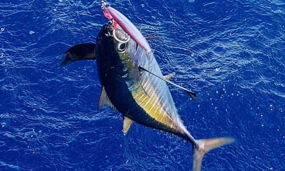 Fishing Boat rental in Malé for chartered trips - Imagen 13