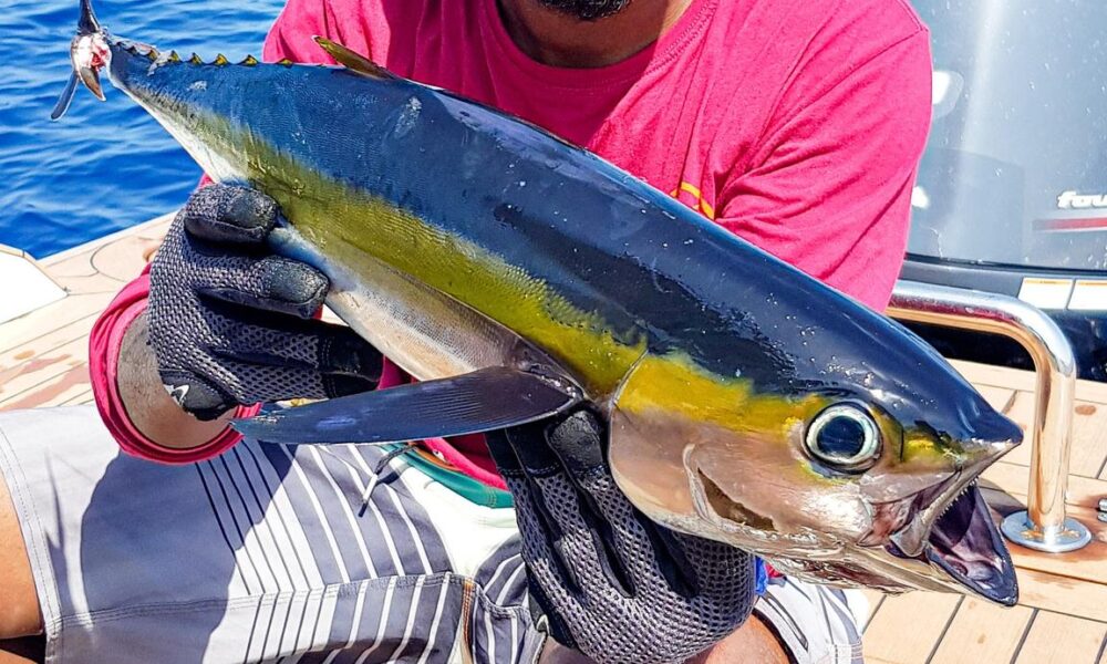 Fishing Boat rental in Malé for chartered trips - Imagen 11