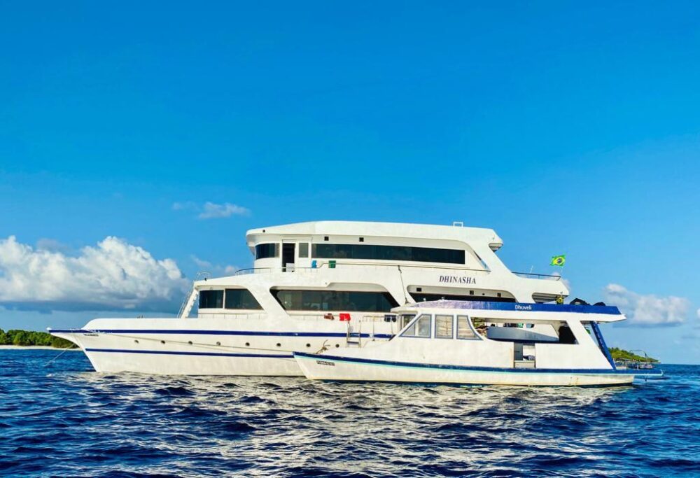 Affordable Liveraboard : Private Charters for Surfing, Diving & Custom Trips - Imagen 31
