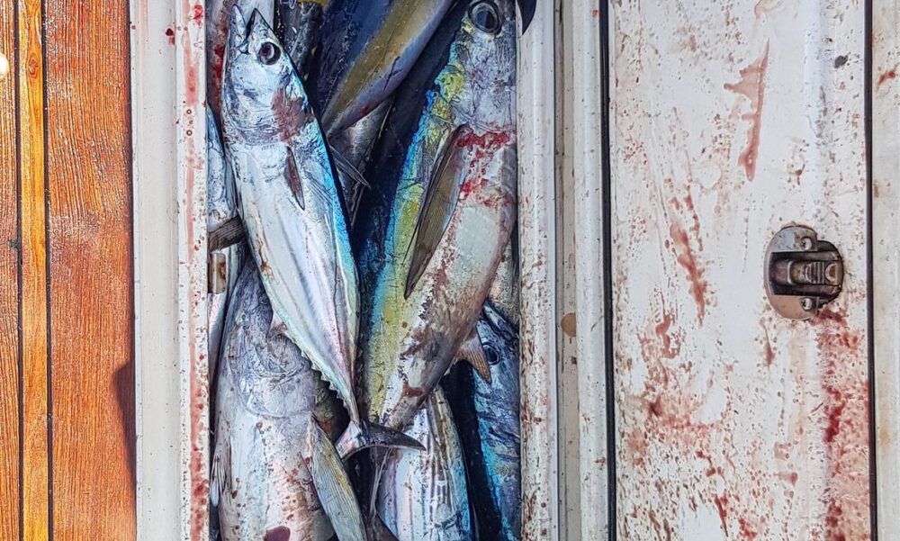 Fishing Boat rental in Malé for chartered trips - Imagen 10
