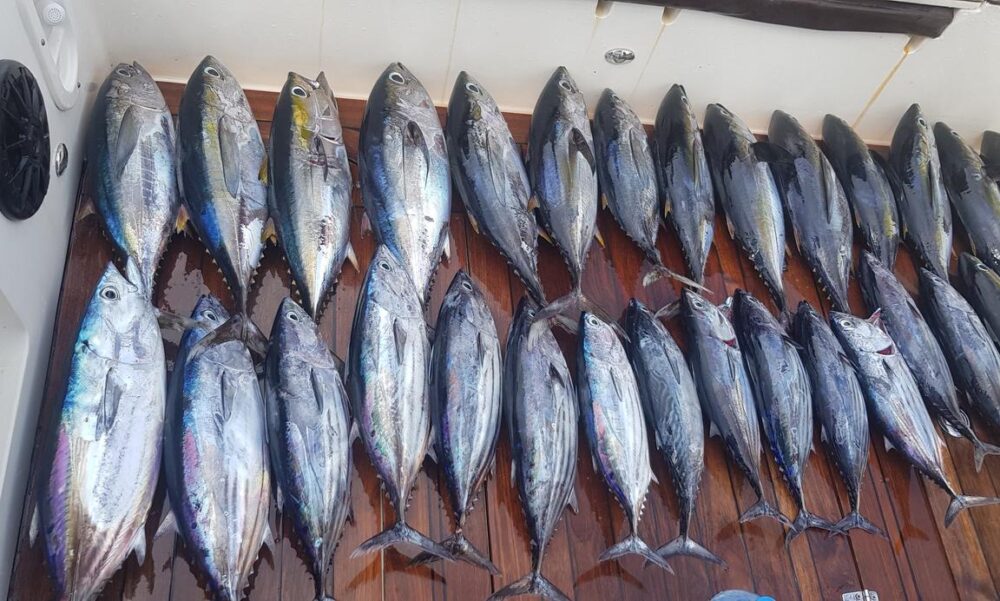 Fishing Boat rental in Malé for chartered trips - Imagen 8