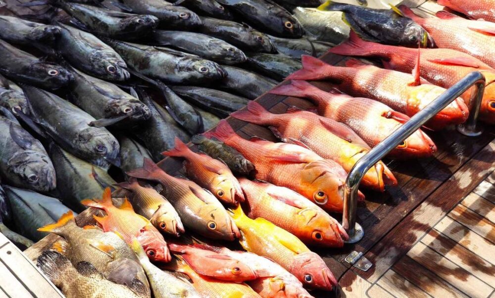 Fishing Boat rental in Malé for chartered trips - Imagen 7