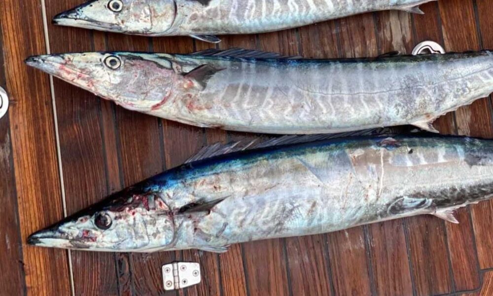 Fishing Boat rental in Malé for chartered trips - Imagen 6