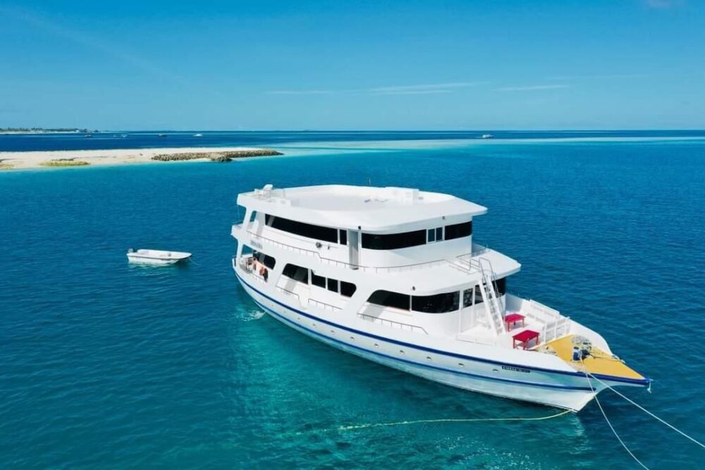 Affordable Liveraboard : Private Charters for Surfing, Diving & Custom Trips - Imagen 30