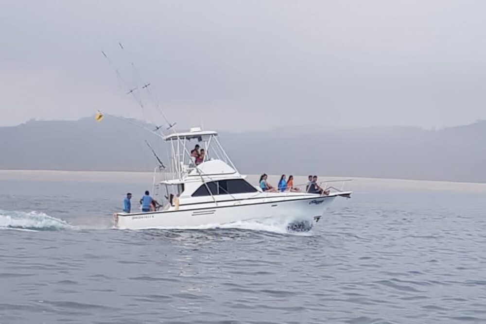 BERTRAM 35FT FISHING CHARTERS