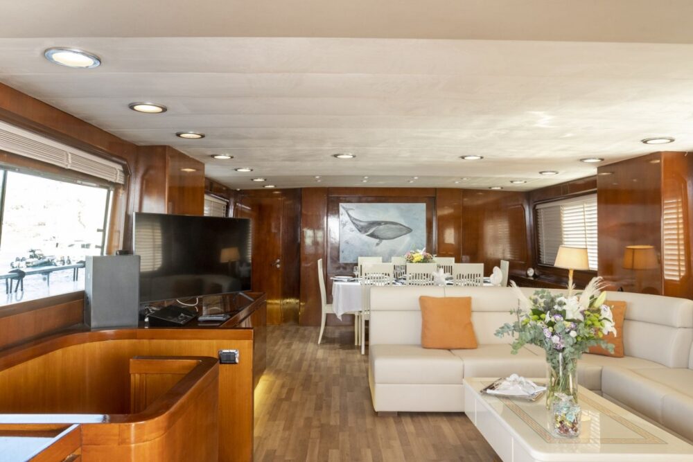 Private Cruises in Mykonos and at the Aegean Sea - Image 4