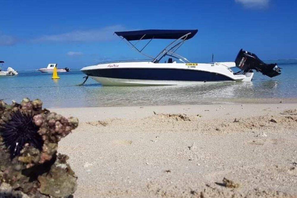 Lydia Boat Private boat/Dolphin watching&swimming - 21 FT