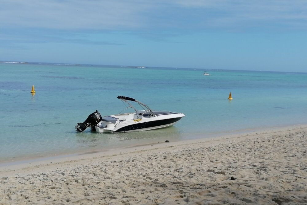 Lydia Boat Private boat/Dolphin watching&swimming - 21 FT - Image 3