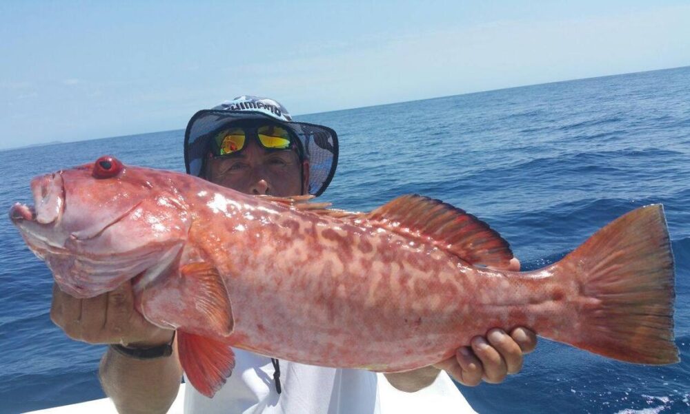 Premium Madagascar Fishing Trips: Expert Skippers & Fully-Equipped Boat in Nosy Be - Imagen 5