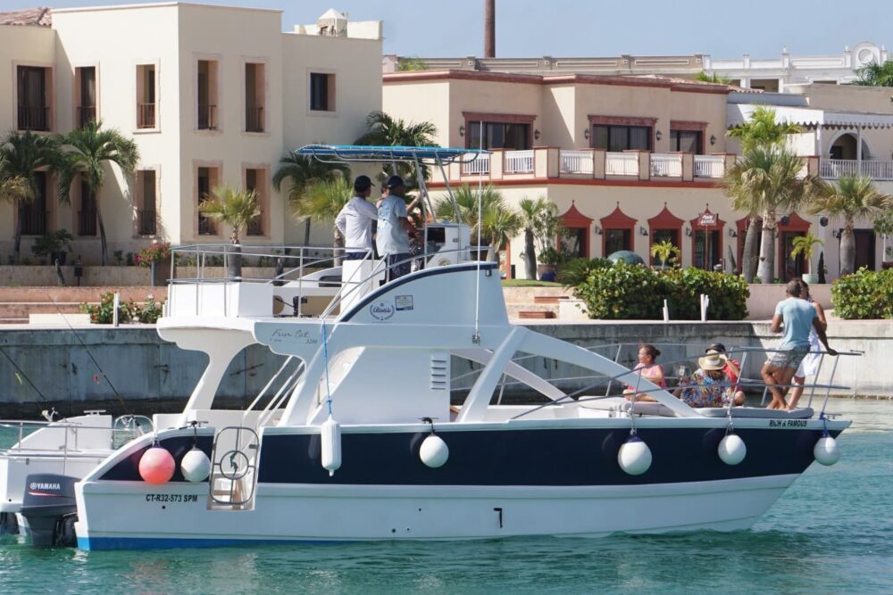 Rich And Famous Private Family FunCat - Image 4