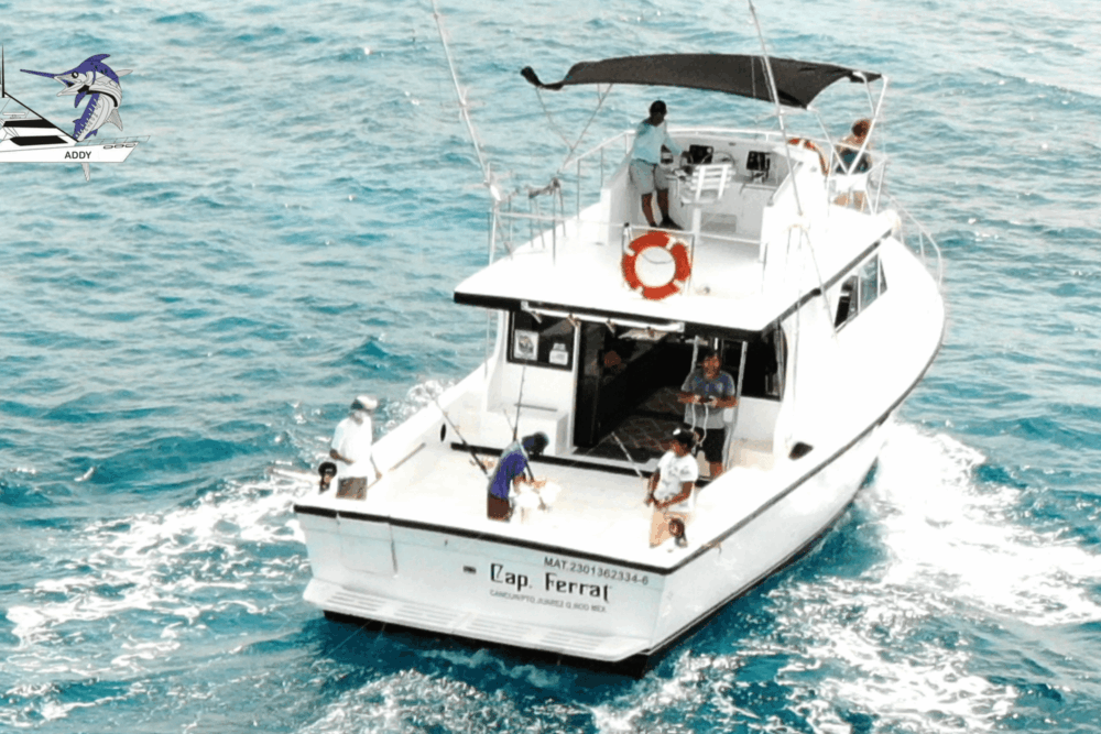 Fishing Charter Defender 46ft - Tour 4 Hours - Image 6