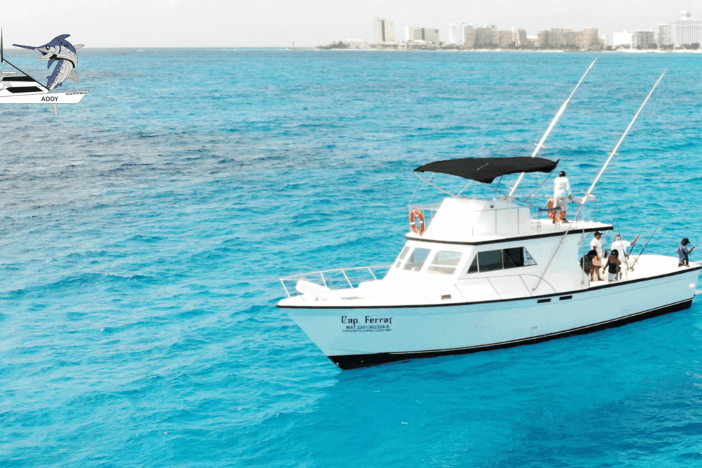 Fishing Charter Defender 46ft - Tour 4 Hours - Image 5
