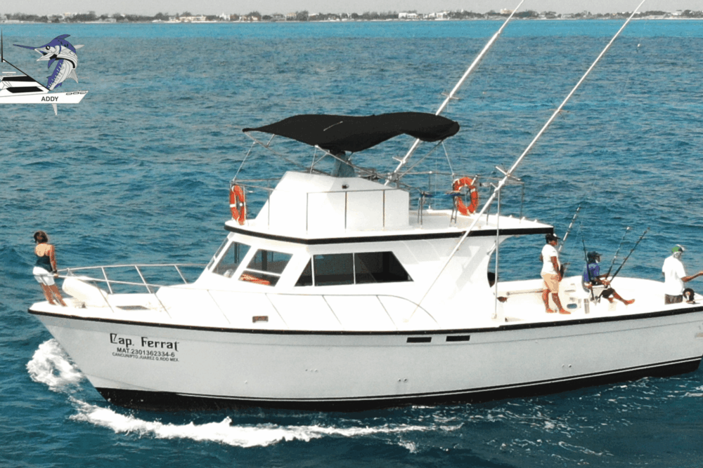 Fishing Charter Defender 46ft - Tour 4 Hours