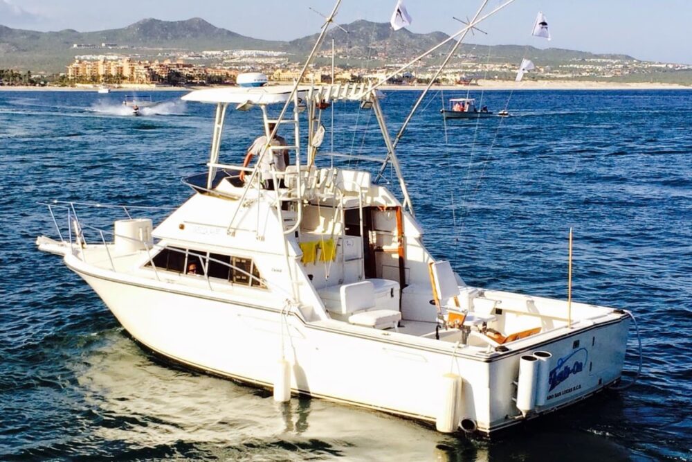 33´ Fish On