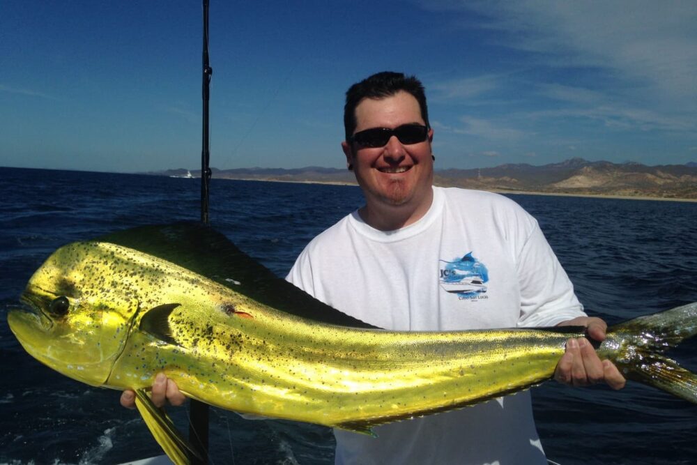 33´ Fish On - Imagen 5
