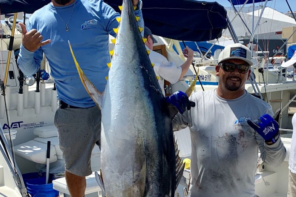 33´ Fish On - Imagen 2