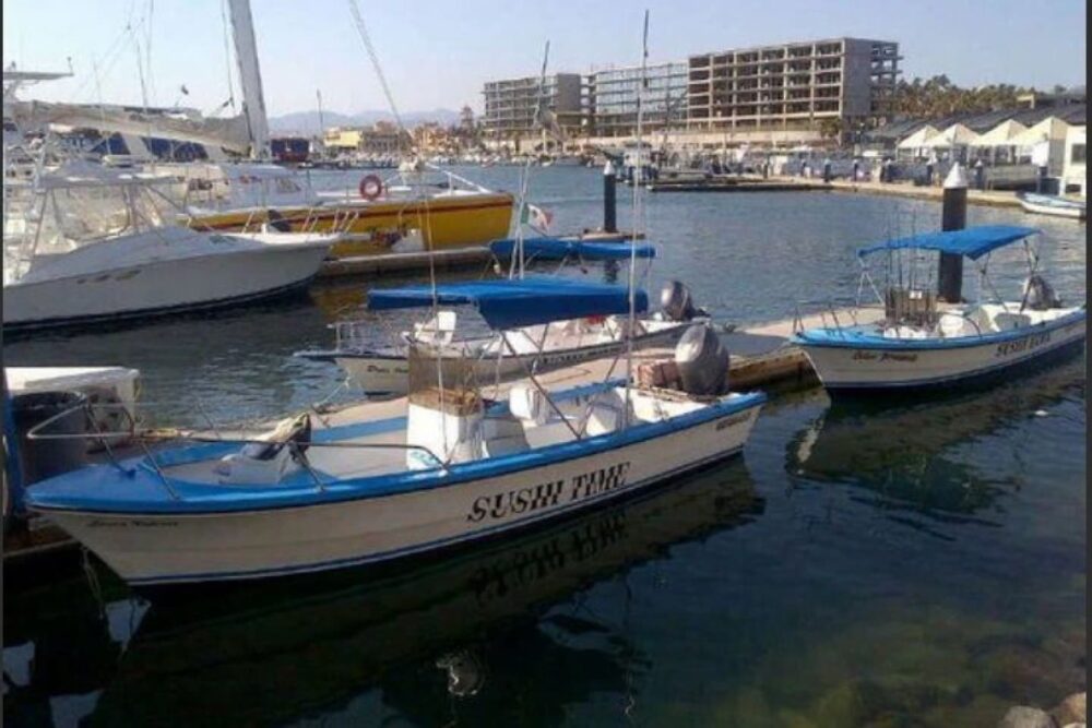 Sushi Time Sport Fishing - Image 3