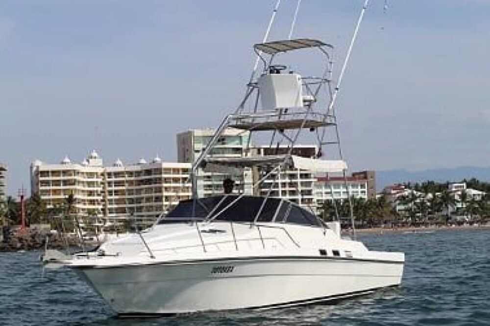 Sea Ray 34 ft. "Totoaba" Nuevo Vallarta Fishing - Image 10