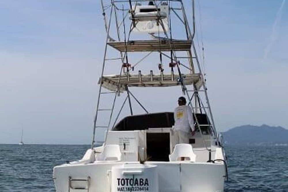 Sea Ray 34 ft. "Totoaba" Nuevo Vallarta Fishing