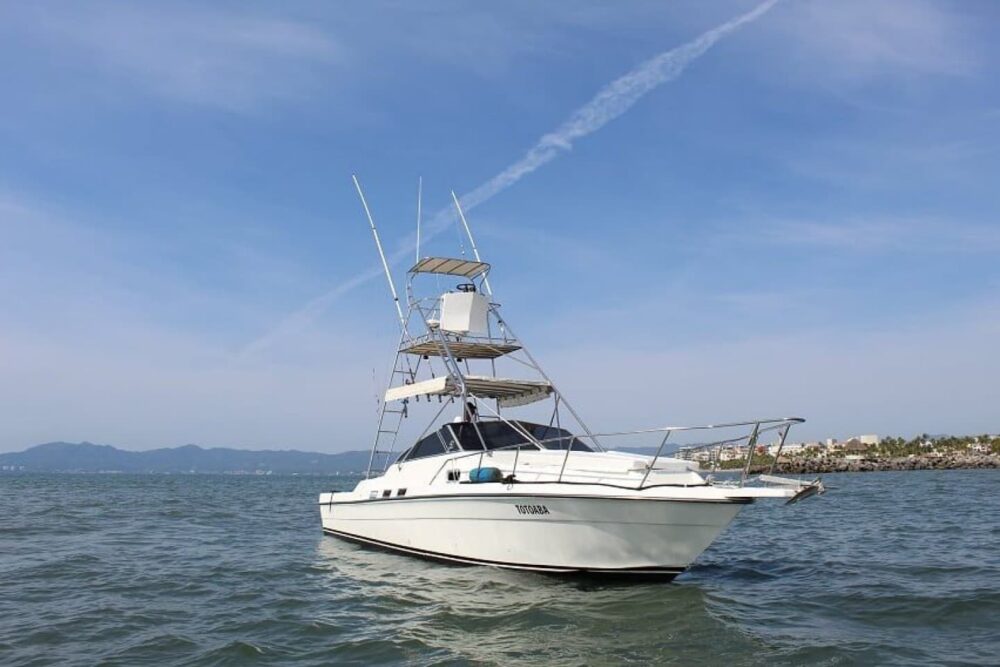 Sea Ray 34 ft. "Totoaba" Nuevo Vallarta Fishing - Image 5
