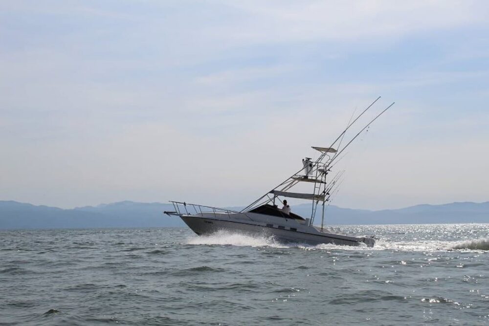 Sea Ray 34 ft. "Totoaba" Nuevo Vallarta Fishing - Image 3