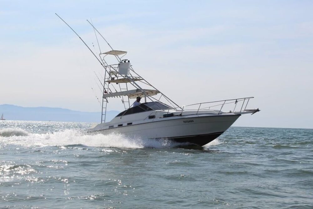 Sea Ray 34 ft. "Totoaba" Nuevo Vallarta Fishing - Image 2