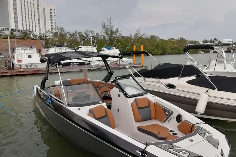 Deluxe boat tour - Image 2