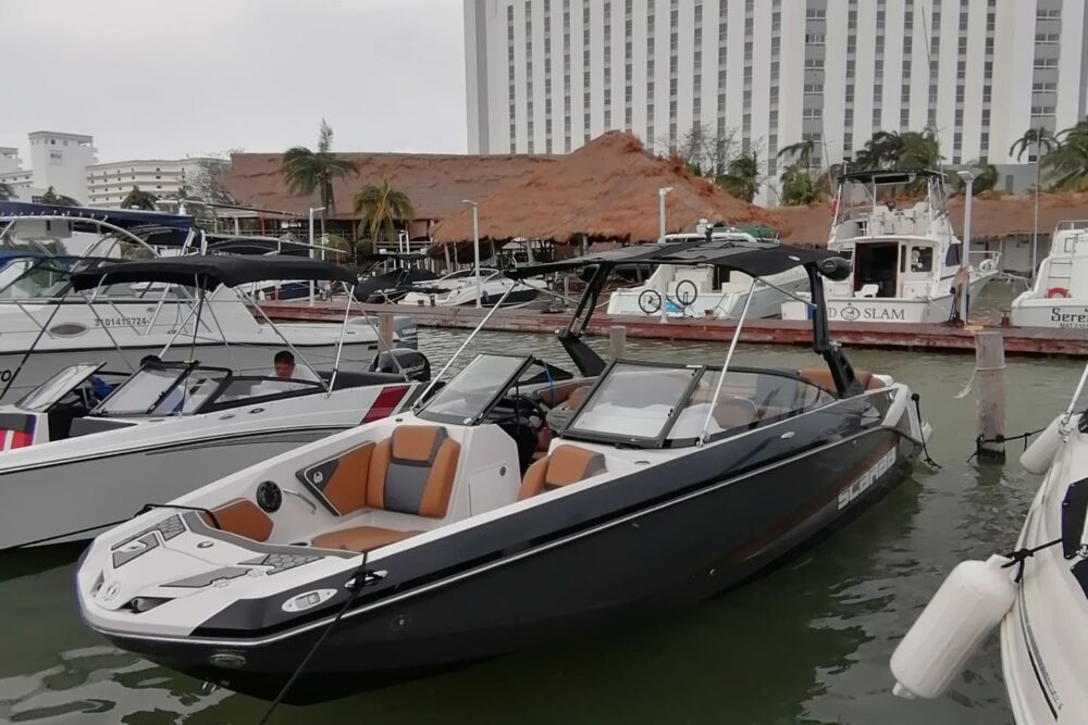 Deluxe boat tour - Image 3