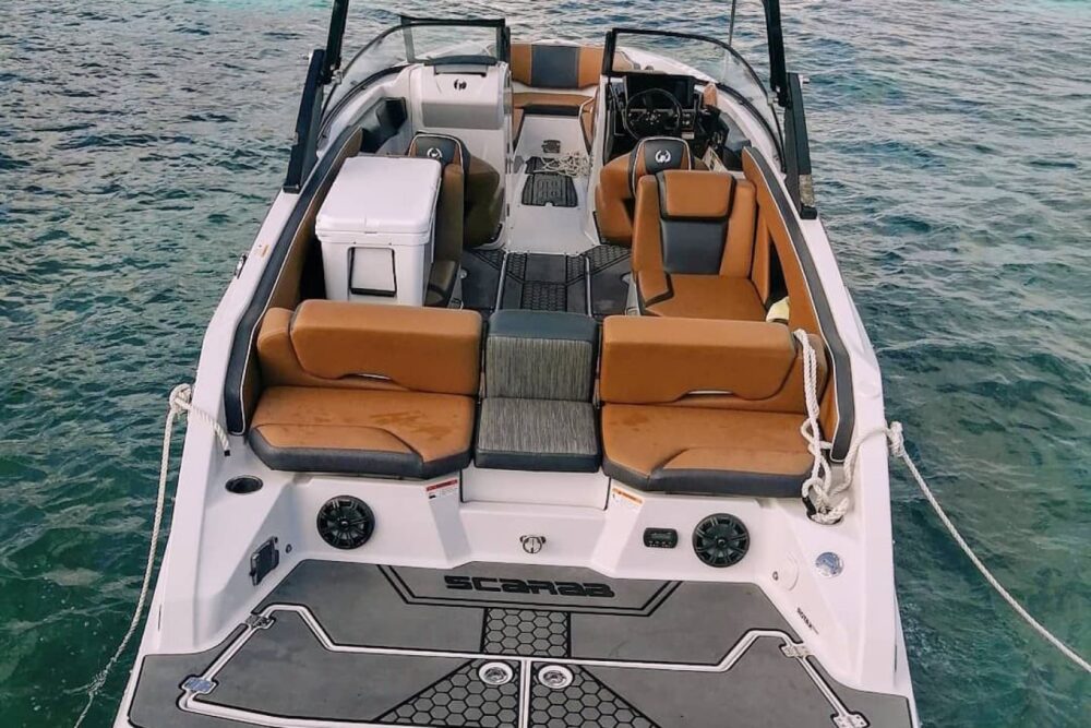 Deluxe boat tour - Image 4