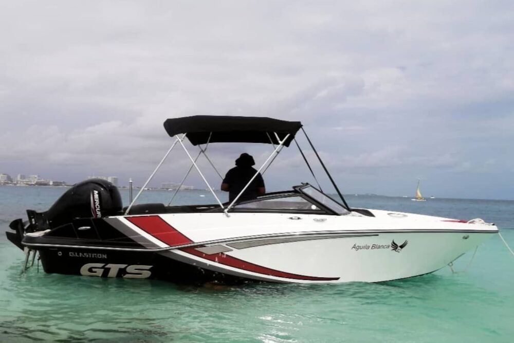 Deluxe Boat Tour