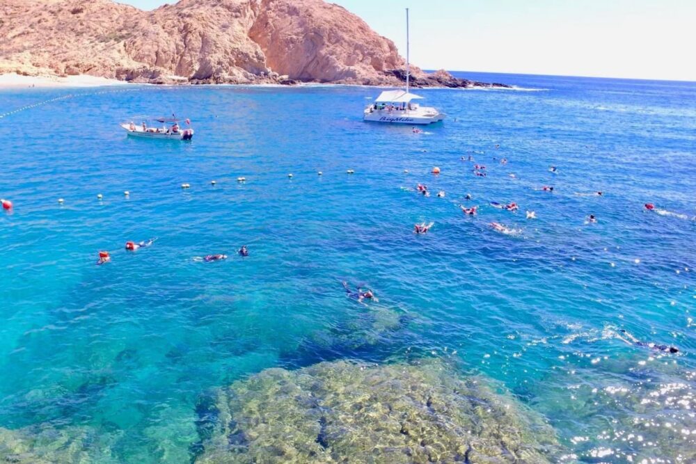 Snorkel Private Tour in Big Mike Seadventures Trimarán - Image 9