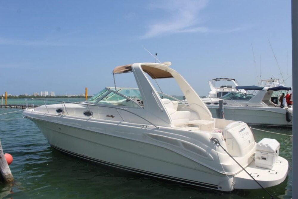 Sunset Tour Cancún - Sea Ray 38ft - 2 Hours - Image 8