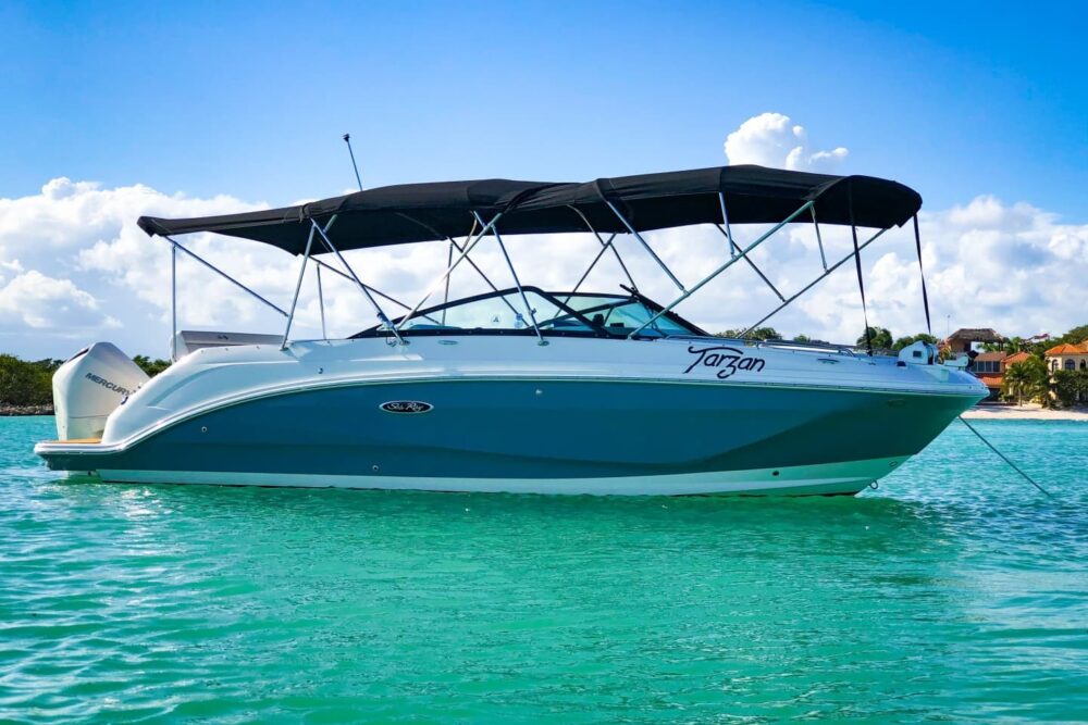 Experience The Wonders Of The Mexican Caribbean Onboard Tarzan!