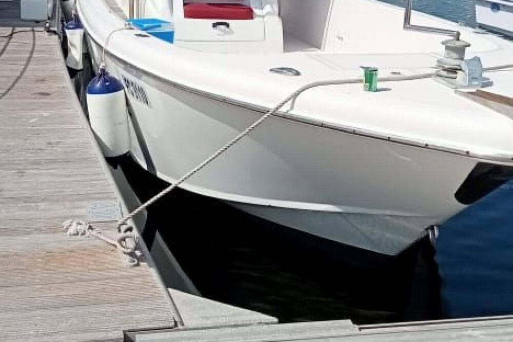 Boat charter and sport fishing - Image 3