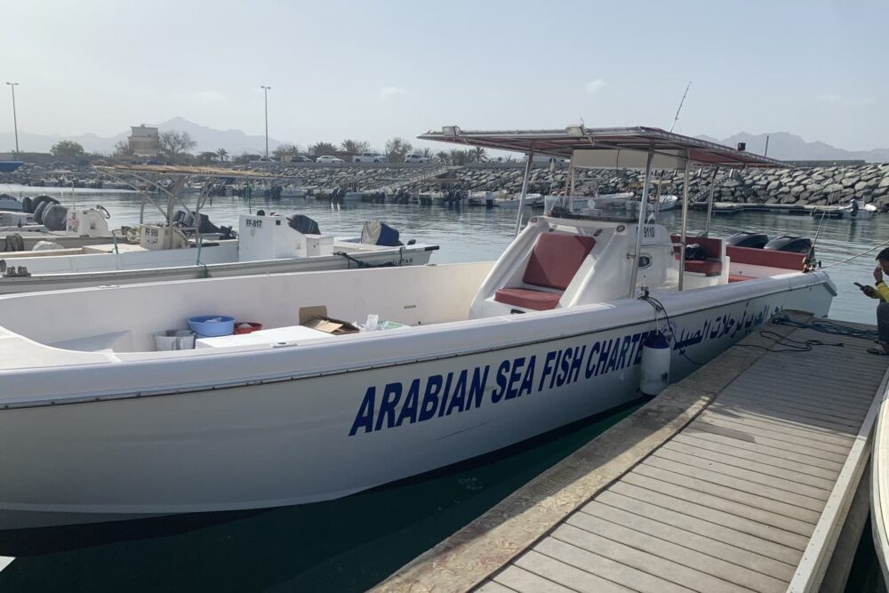 Boat charter and sport fishing - Image 2