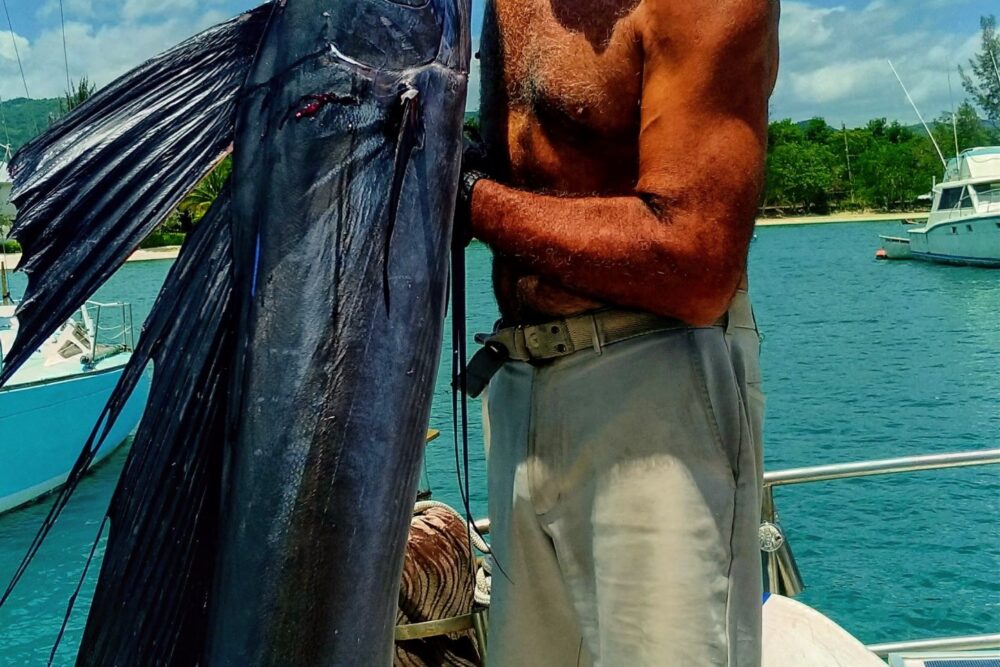 Jamaica Sailing Adventures - Imagen 9