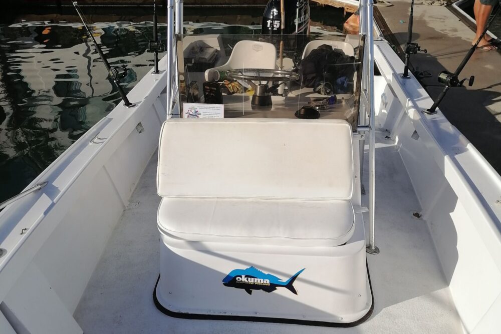 Fishing trip - Imagen 4
