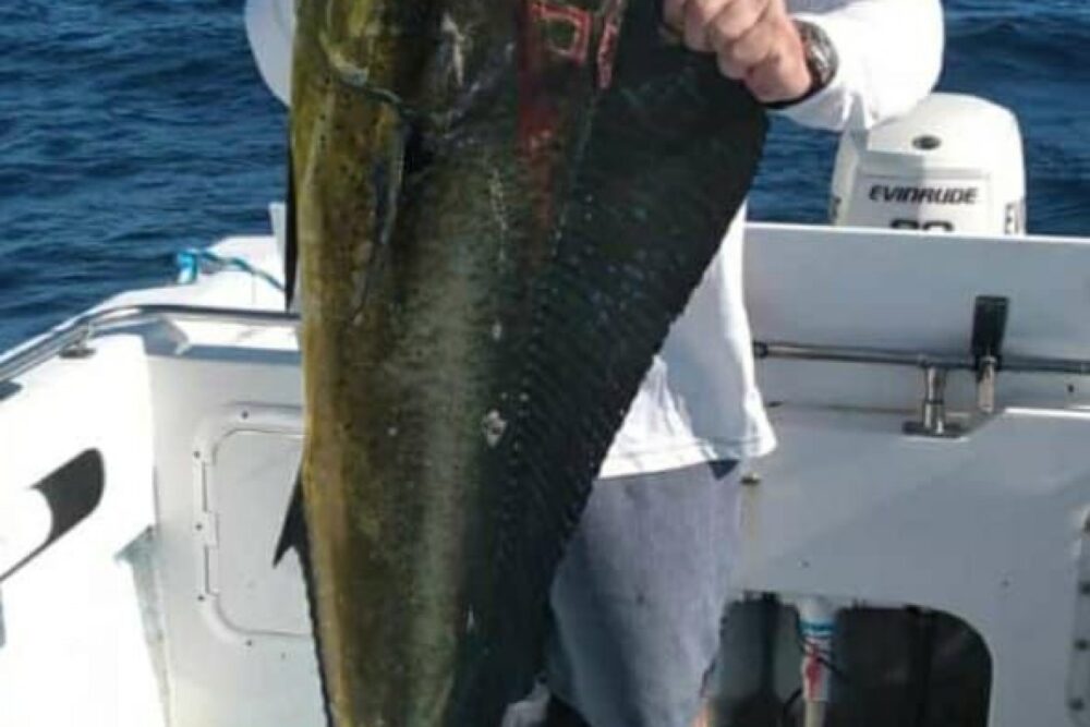 Fishing trip - Imagen 2