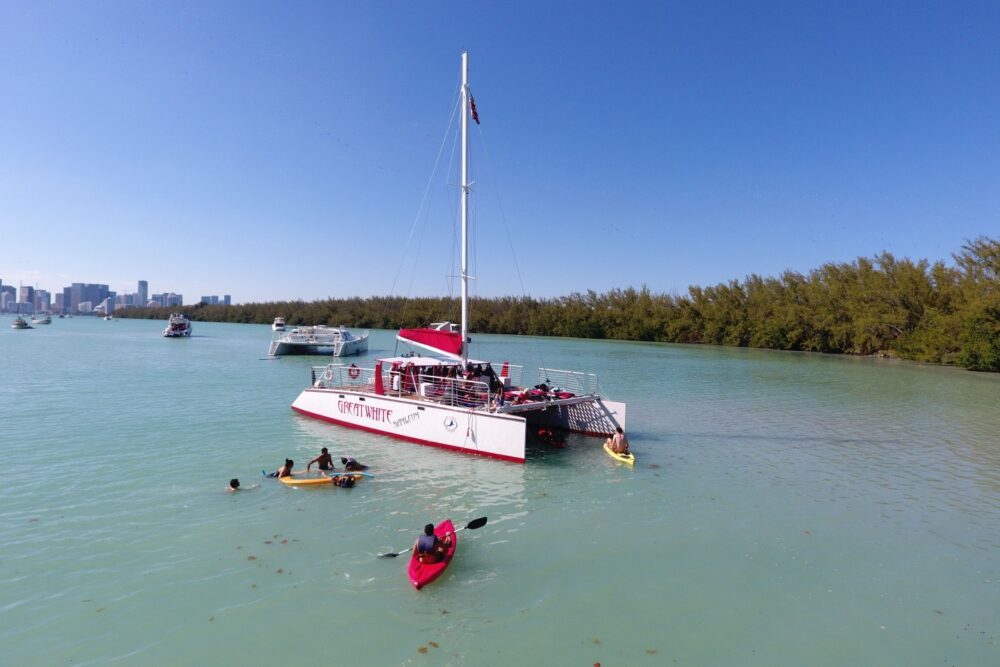 Great White 49' Catamaran with Island BBQ Option - Imagen 12