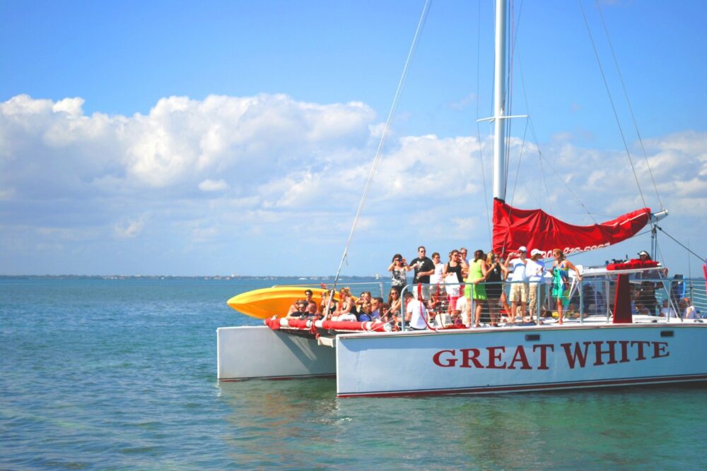Great White 49' Catamaran with Island BBQ Option - Imagen 9