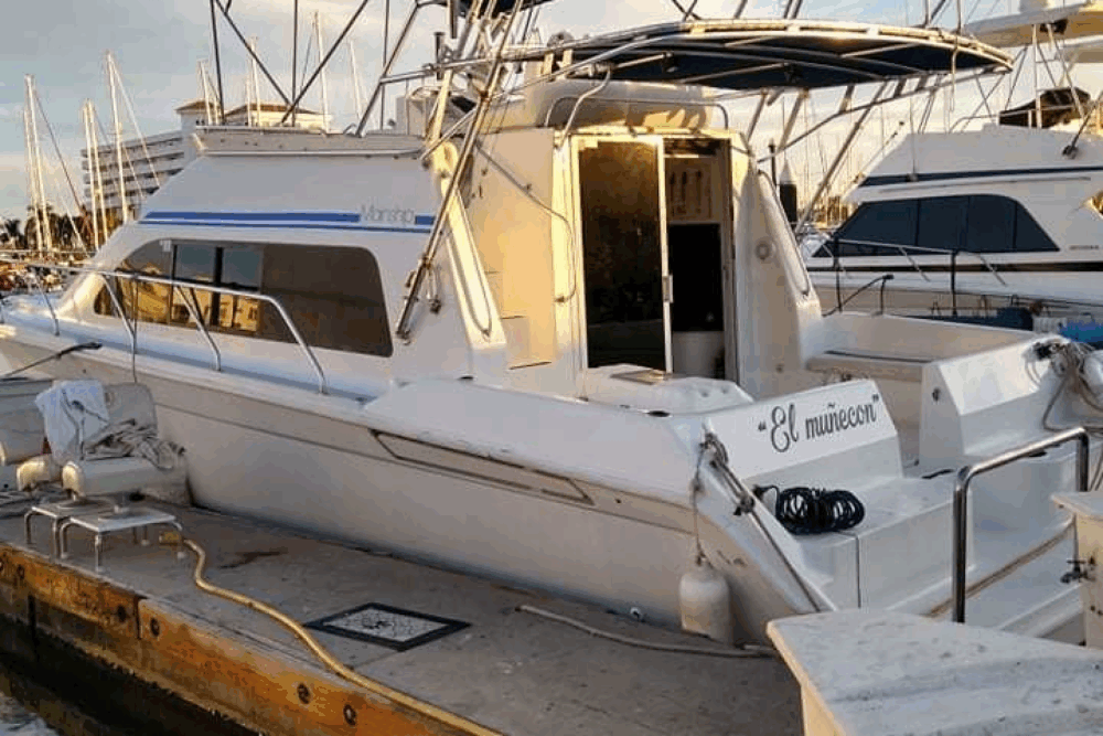 Boat trips through the bay of Mazatlan and sport fishing - Image 2