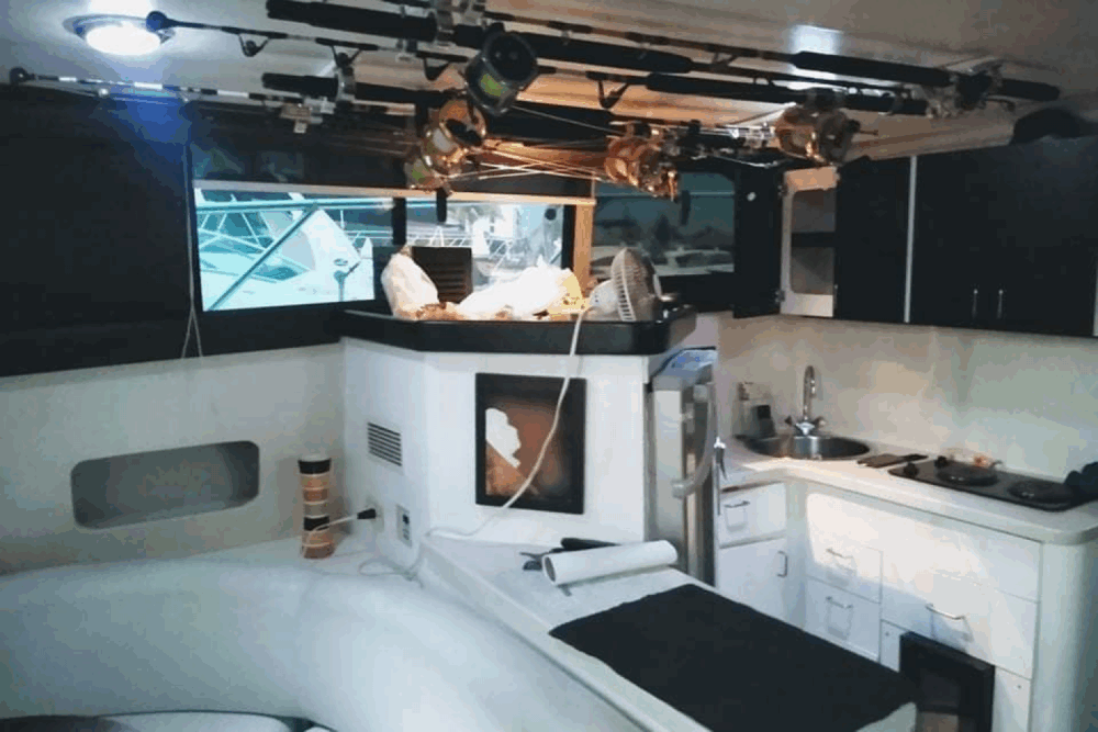 Boat trips through the bay of Mazatlan and sport fishing - Image 3