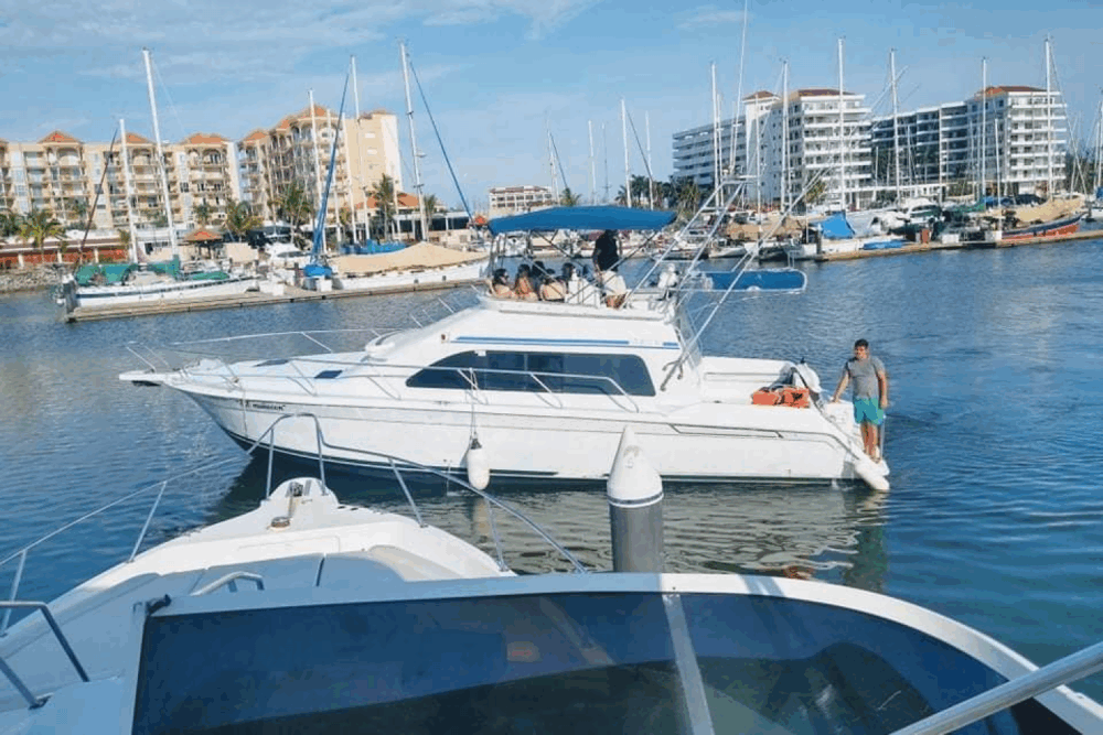 Boat trips through the bay of Mazatlan and sport fishing