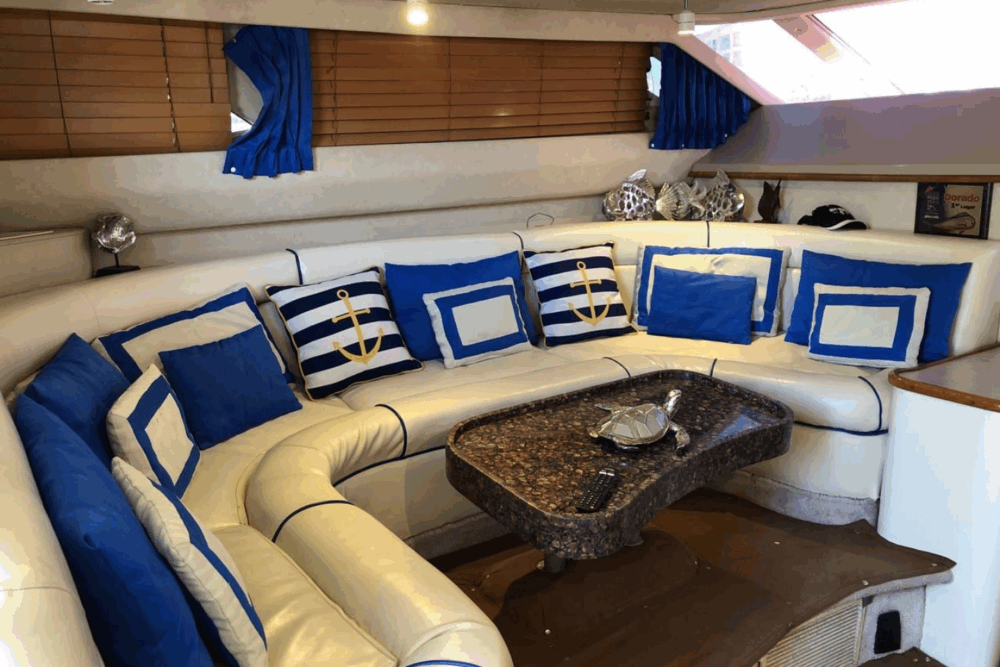 Boat trips around Mazatlán Bay and sport fishing - Image 3